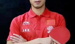 张继科新闻爆料最新消息,揭秘赛场之外的真实生活与挑战